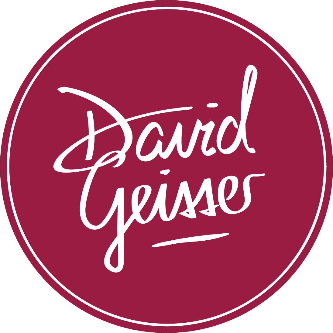 Logo David Geisser